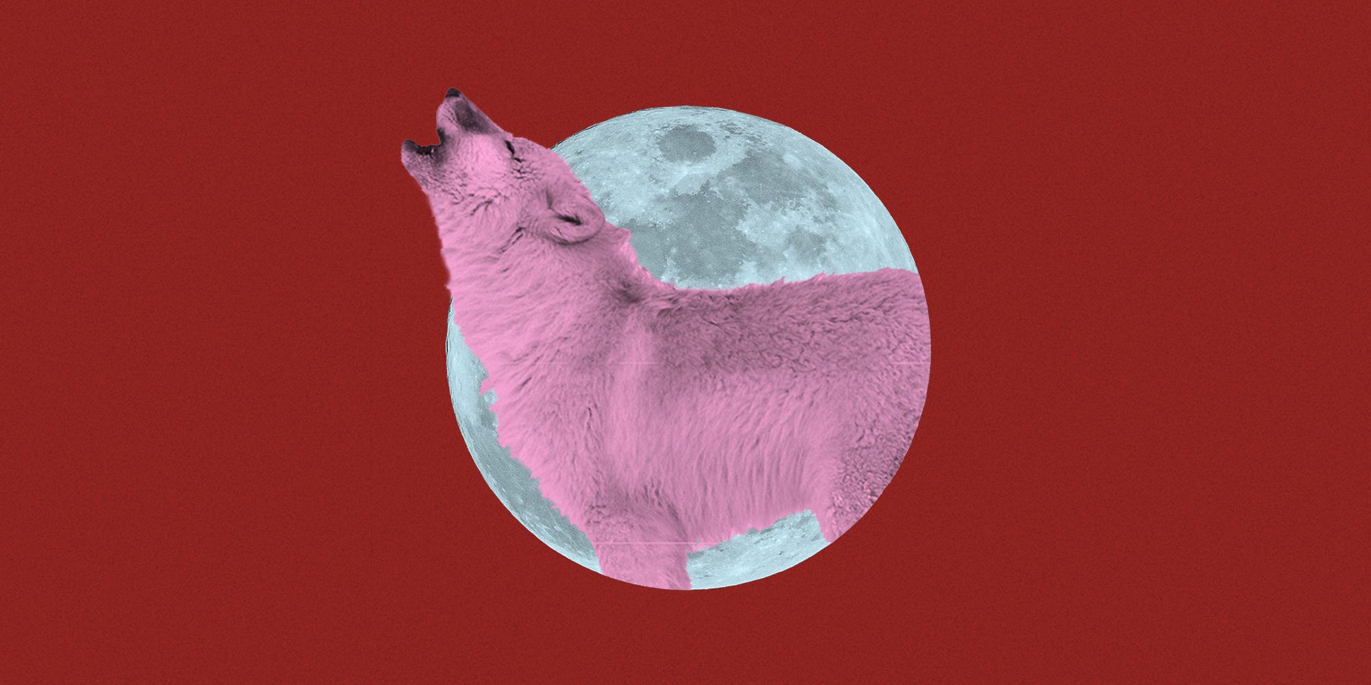 supermoon 3 january 2020 astrology